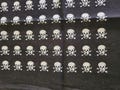 Skull Pattern Bandana Black and White 22 Inch