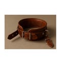 Brown Leather Neck Collar: Adjustable Silver Buckles, Stylish Accessory