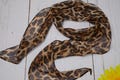 100% Natural Mulberry Leopard Print Chiffon Silk Scarf, Long Narrow 55" x 4", Sheer Lightweight Neck Hair Wrap, Scarf Gift for Women