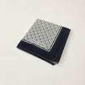 Vintage Pierre Cardin Handkerchief BT91