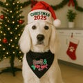 Christmas Pet Bandana Dog Mom Gifts Furry Bright Funny Dog Bandana Christmas Gift Dog Lover Gifts Xmas Dog Gifts Dog Owner Gifts Xmas Gift