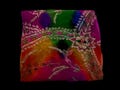 Vintage indian kutchi rabari Multi colored with heavy hand Embroidered flower chiffon georgette dupatta stole scarf wrap hijab veil