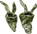 Organic Cotton Bandana Scarf: Paisley Block Print, Vibrant Colors Floral Block Printed Cotton Bandanas 2set of bandana