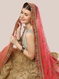 Gajari Bridal & Wedding Wear Net Dupatta/shawl/stole